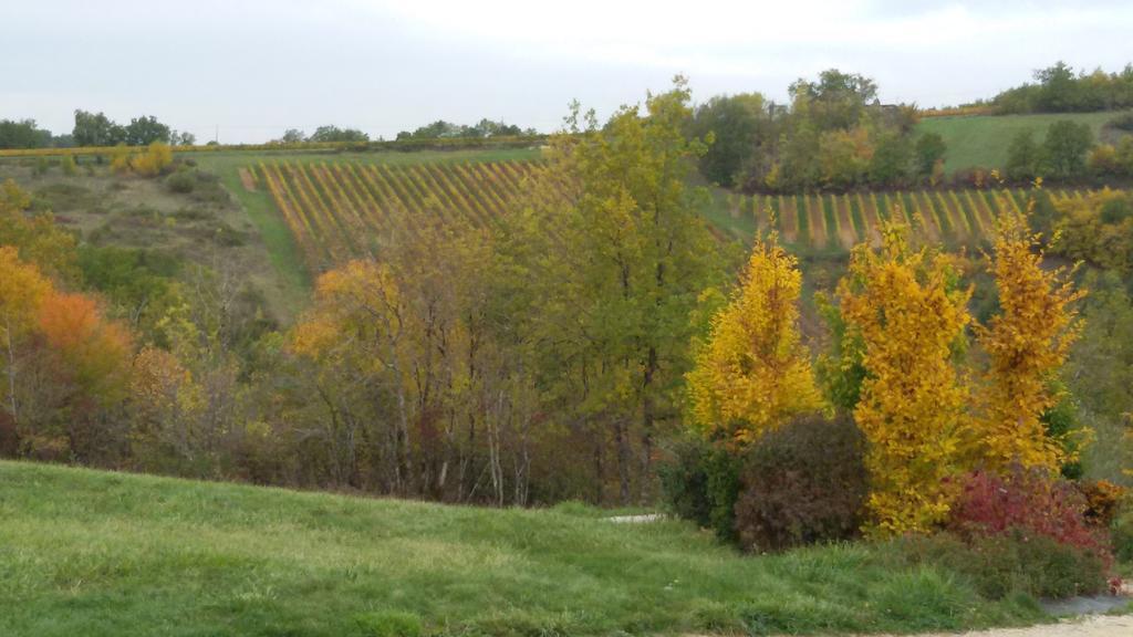 Les Hauts D'Albas Albas  Pokój zdjęcie