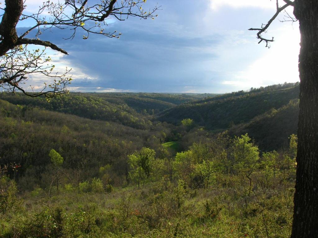 Les Hauts D'Albas Albas  Pokój zdjęcie